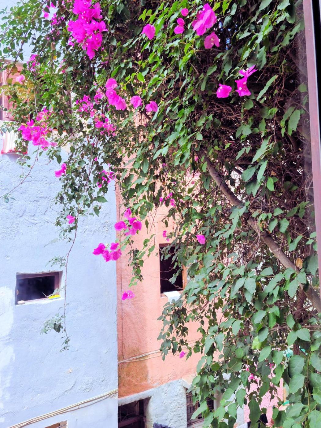 Maison D'Hotes Cite Portugaise El Jadida Δωμάτιο φωτογραφία